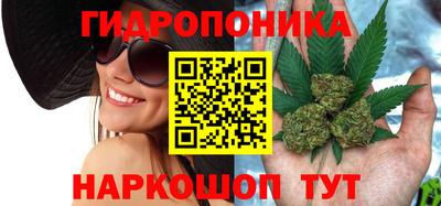 PSILOCYBIN Уссурийск